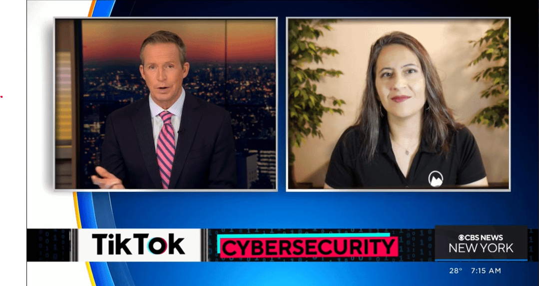 Sherri Davidoff Chats With Wcbscbs New York About The Federal Ban Of Tiktok From Gov Devices 